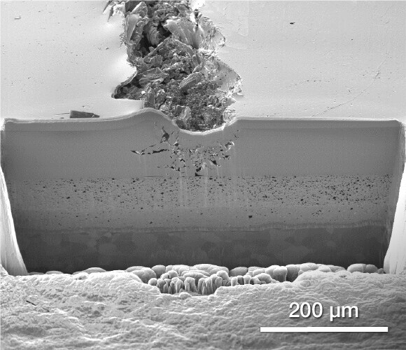 在 Helios DualBeam 上成像的油漆涂层划痕测试 在 Helios DualBeam 上成像的油漆涂层划痕测试