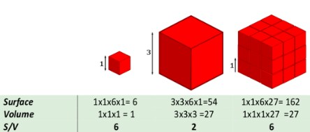 sem-valuable-2-444x190 sem-valuable-2-444x190