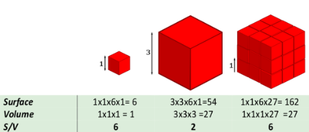 sem-valuable-2-444x190 sem-valuable-2-444x190
