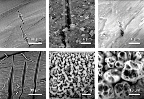 sample-degradation_500x345 sample-degradation_500x345