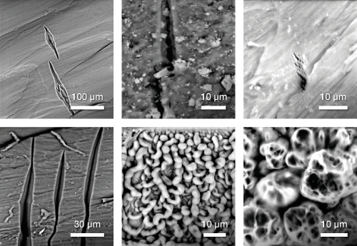 sample-degradation_500x345 sample-degradation_500x345