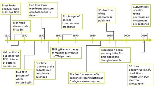 sem-cell-biology-research-500-2 sem-cell-biology-research-500-2