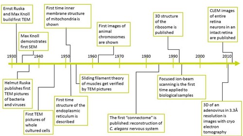 sem-cell-biology-research-500-2 sem-cell-biology-research-500-2