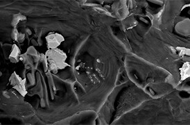 best-practices-sem-failure-analysis-thumbnail-274x180 best-practices-sem-failure-analysis-thumbnail-274x180