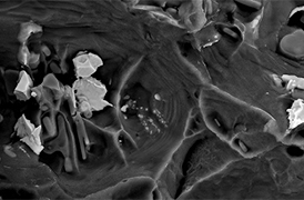 best-practices-sem-failure-analysis-thumbnail-274x180 best-practices-sem-failure-analysis-thumbnail-274x180