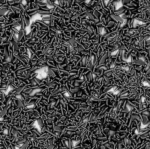 SEM images in backscatter mode of a sample covered with a zinc phosphate coating, showing the different morphology of the crystal structure. SEM images in backscatter mode of a sample covered with a zinc phosphate coating, showing the different morphology of the crystal structure.