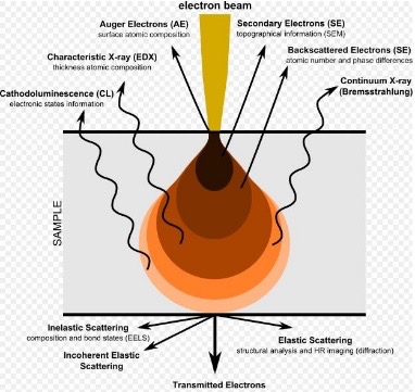 Electron–matter interactions and the different types of signals that are generated. Electron–matter interactions and the different types of signals that are generated.