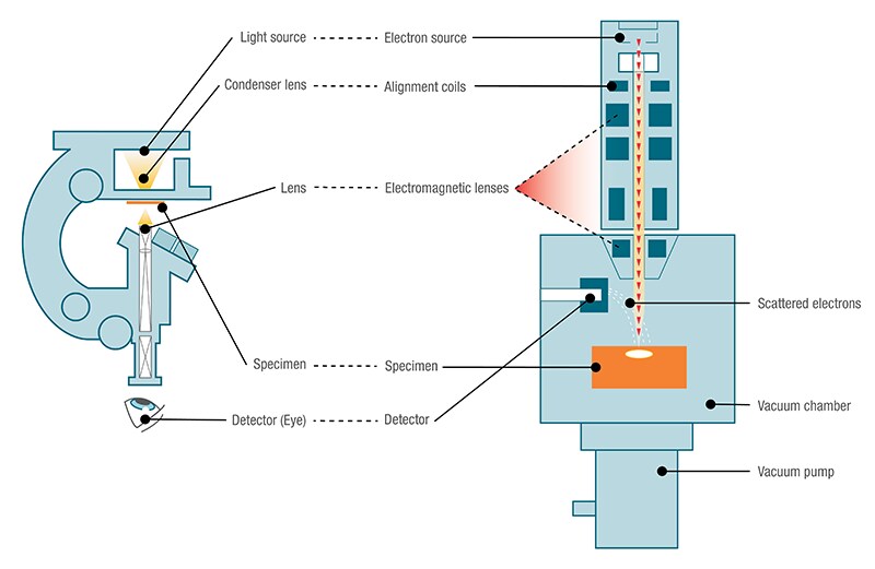 SEM optical comparison SEM optical comparison