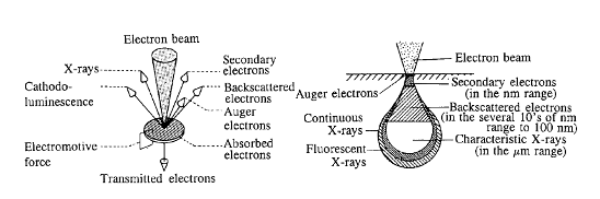 Example illustrations of secondary and back-scattered electrons and characteristic X-rays. Example illustrations of secondary and back-scattered electrons and characteristic X-rays.