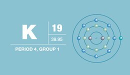 Potassium • Alkali Metal Potassium • Alkali Metal