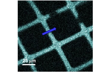analysis-imagingmapping-02 analysis-imagingmapping-02