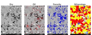 Multi-modal analysis of a core plug with automatic identification of porosity, mineralogy, and oil inclusions. Core plug analyzed with a multi-modal approach revealing oil, porosity, and mineralogy.