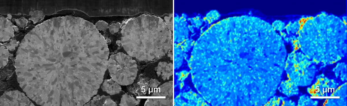 SEM image of a lithium battery cathode cross-section (left) and corresponding SIMS map showing the lithium distribution (right). SEM image of a lithium battery cathode cross-section (left) and corresponding SIMS map showing the lithium distribution (right).