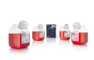 Gibco room temperature–stable reagents Gibco room temperature–stable reagents