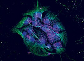 Scientists Performing Inspiring Science Scientists Performing Inspiring Science