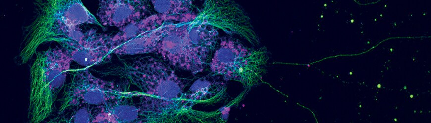 Scientists Performing Inspiring Science Scientists Performing Inspiring Science