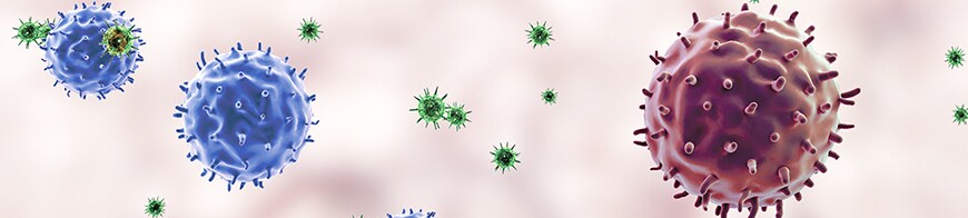 Four Steps to Activate T Cells Four Steps to Activate T Cells