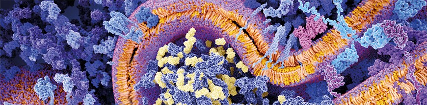 CAR T 2.0 Technology CAR T 2.0 Technology