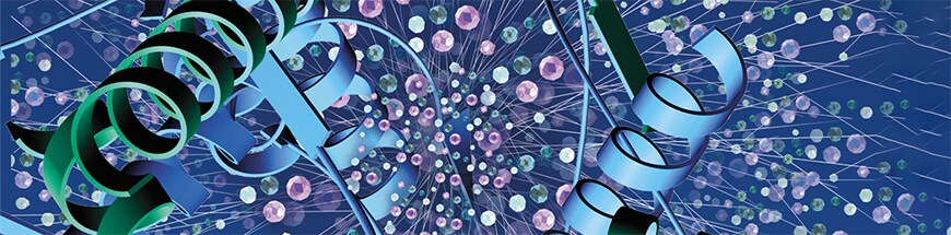 Western Blotting Western Blotting