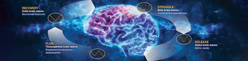 Cycle of flow state including struggle, release, flow, and recovery Cycle of flow state including struggle, release, flow, and recovery