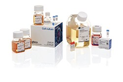 Gibco cell culture products Image of some Gibco cell culture products