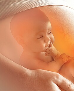 Two novel mutations, two families, and a bright future Artistic rendition of a baby held by adult