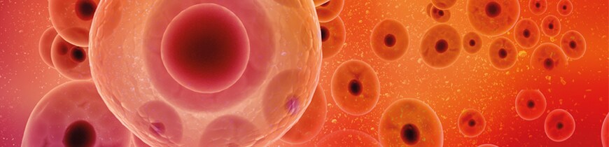 Cell counting efficiency microscopic image of cells