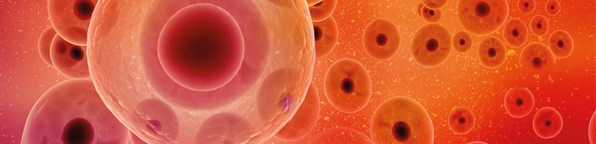 Cell counting efficiency microscopic image of cells