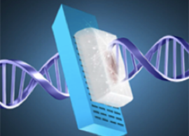 Making tumor mutational burden more accessible Making tumor mutational burden more accessible