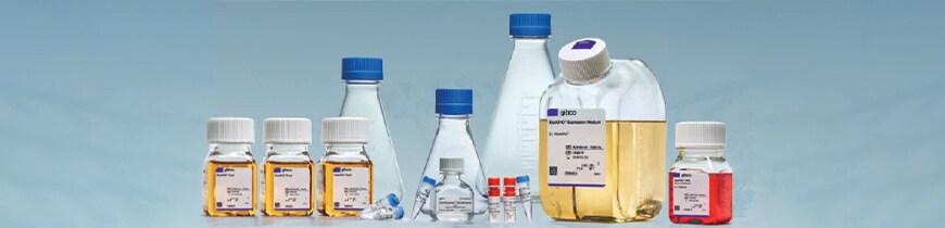 ExpiCHO Expression System kit components ExpiCHO Expression System kit components