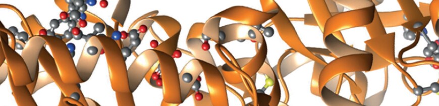 The secret lives of proteins (and scientists) Artistic rendition of a sheet and ribbon model of a protein molecule