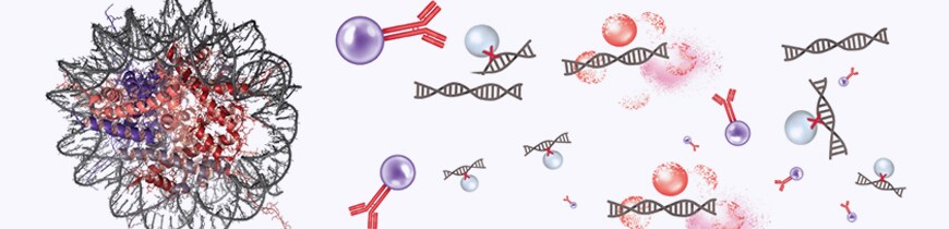 SNAP-ChIP: A Big Leap Forward for Epigenetics Research SNAP-ChIP: A Big Leap Forward for Epigenetics Research
