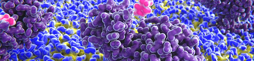 Using Flow Cytometry to Create Biologics Using Flow Cytometry to Create Biologics