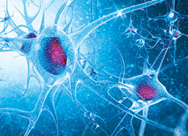 Neurobiology Research Made Simple Neurobiology Research Made Simple