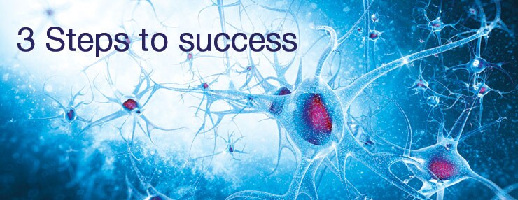 litl-neurobiology-740x250 litl-neurobiology-740x250