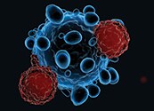 Hope and Remission in CAR T Cell Therapy Hope and Remission in CAR T Cell Therapy