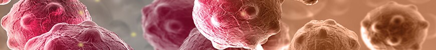 transfection-tips-cancer-cells-870x100 transfection-tips-cancer-cells-870x100