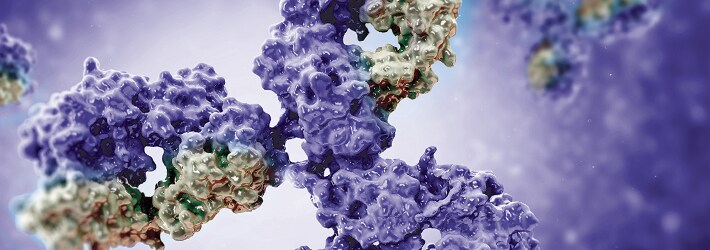 How Are Your Antibodies Validated? How Are Your Antibodies Validated?