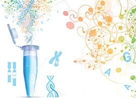 I-O Sequencing and Research Assays I-O Sequencing and Research Assays