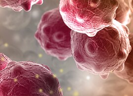 checkpoint biomarkers checkpoint biomarkers