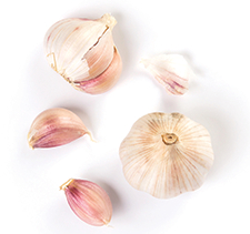 garlic garlic