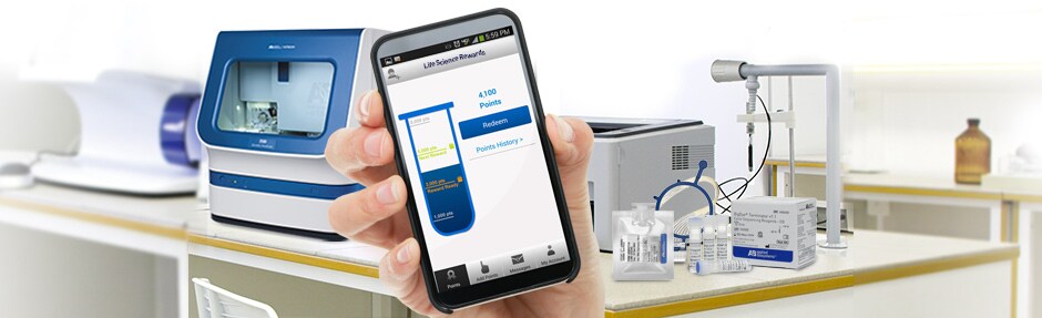 ban-rewards-summer ban-rewards-summer