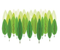 Clone collections Clone collections