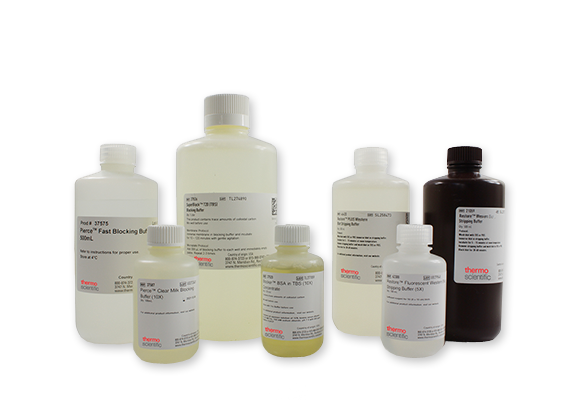 Western-blot-buffers-580-nobkgrd Western blotting ready-to-use reagents