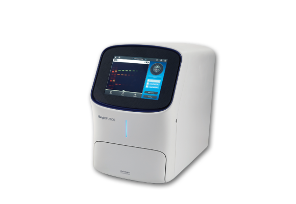 iBrightFL1000-580-nobkgrd Western blot and gel analysis software