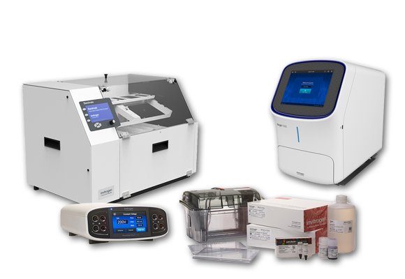 Highthroughput-western-blotting-v3580-nobkgrd Higher-throughput western blotting solutions