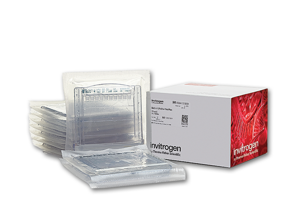 SEP-NuPAGE-newbox-580-nobkgrd Invitrogen pre-cast protein gels
