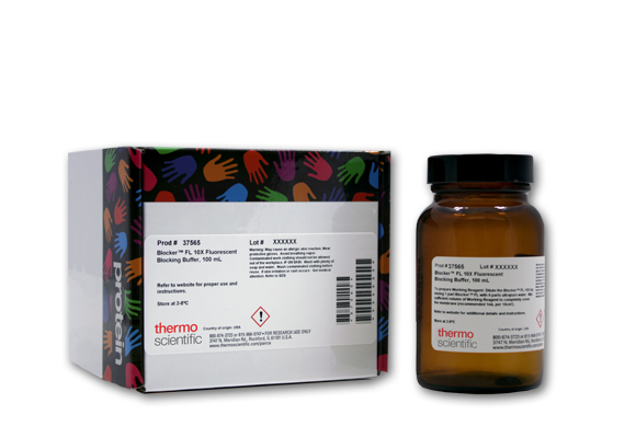 37565-with-box-580-nobkgrd Western blotting ready-to-use reagents