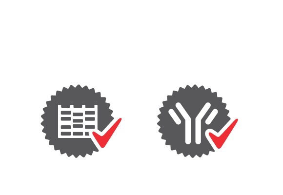 Protein-gels-antibody-performance-guarantee-580-nobkgrd Protein gels and antibody performance guarantee