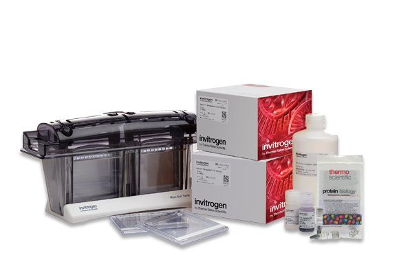 SEP-Precast-gel-welcome-pack-580-nobkgrd Save with lab bundles